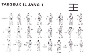 Tae Geuk Il Jang Diagram